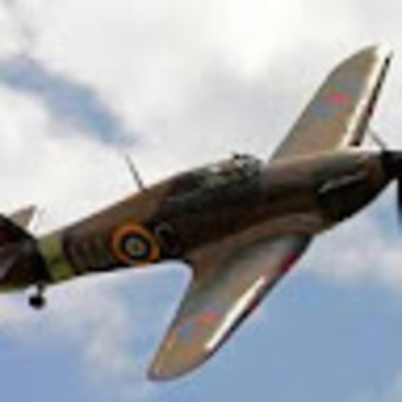 Meet your Posher, Cameron - Picture 1 of 1